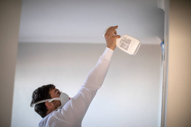 Certified Mold Removal in Walnut Creek, OH