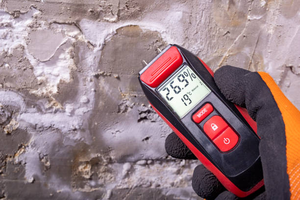 Attic Mold Removal in Walnut Creek, OH