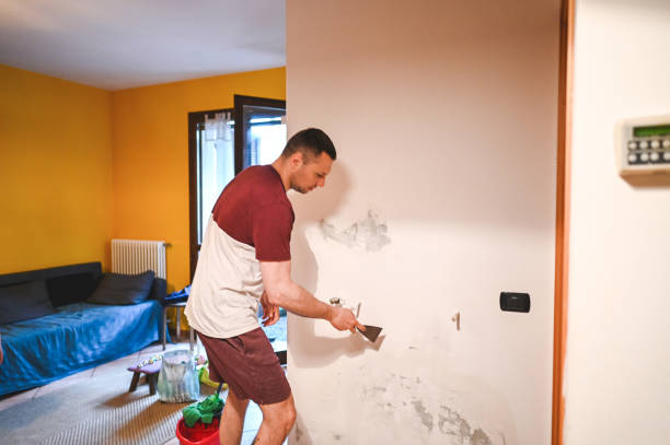 Best Local Mold Removal Service  in Walnut Creek, OH